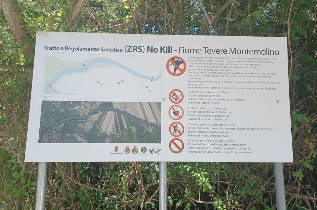 zona no kill montemolino
